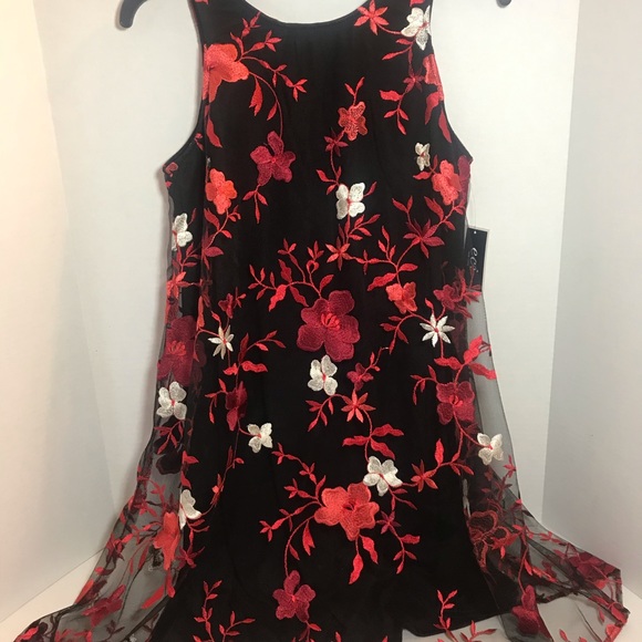 ECI Dresses & Skirts - ECI sleeveless embroid. tulle sheath swing dress M